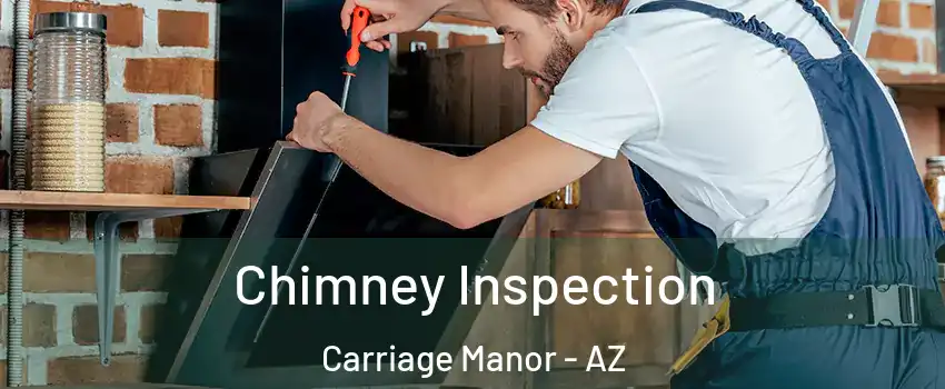 Chimney Inspection Carriage Manor - AZ