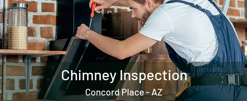 Chimney Inspection Concord Place - AZ
