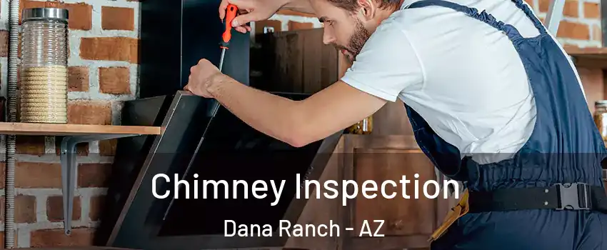 Chimney Inspection Dana Ranch - AZ