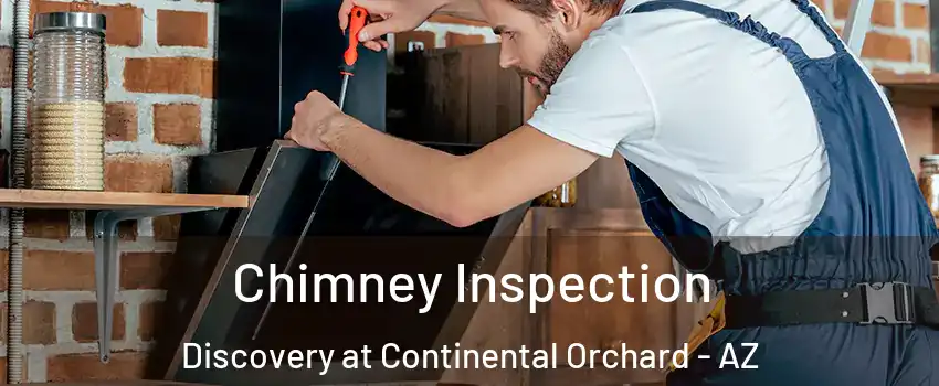 Chimney Inspection Discovery at Continental Orchard - AZ