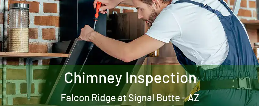 Chimney Inspection Falcon Ridge at Signal Butte - AZ