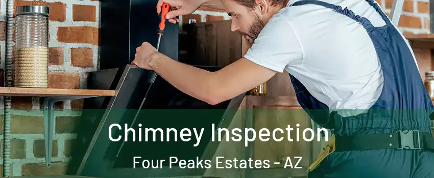 Chimney Inspection Four Peaks Estates - AZ