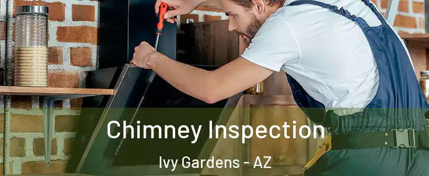Chimney Inspection Ivy Gardens - AZ