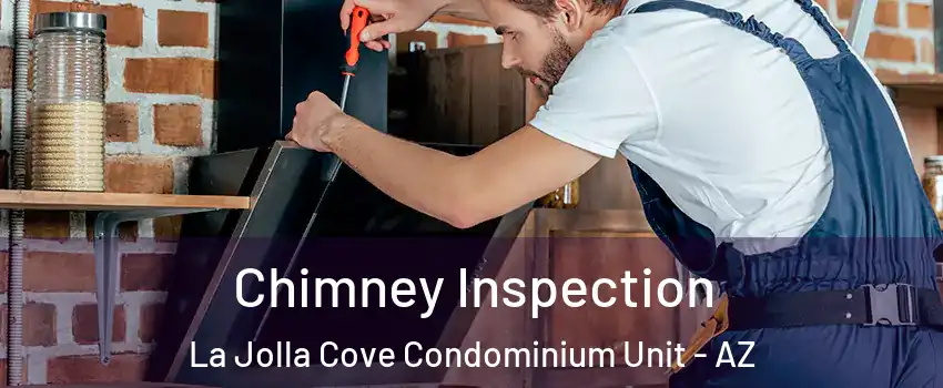 Chimney Inspection La Jolla Cove Condominium Unit - AZ