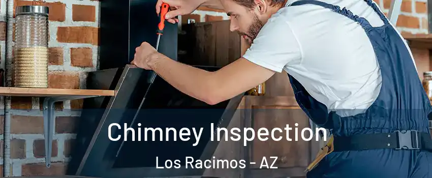 Chimney Inspection Los Racimos - AZ