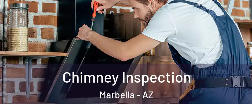 Chimney Inspection Marbella - AZ