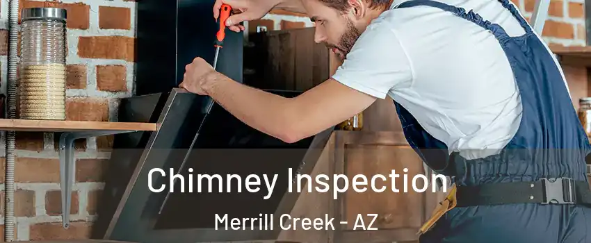 Chimney Inspection Merrill Creek - AZ