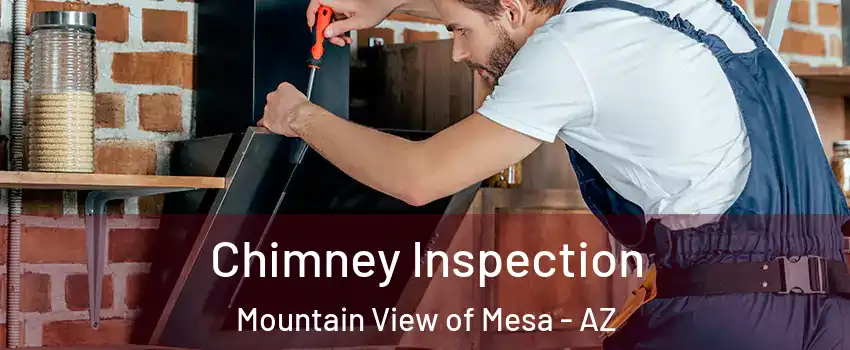 Chimney Inspection Mountain View of Mesa - AZ