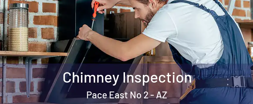 Chimney Inspection Pace East No 2 - AZ