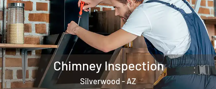 Chimney Inspection Silverwood - AZ