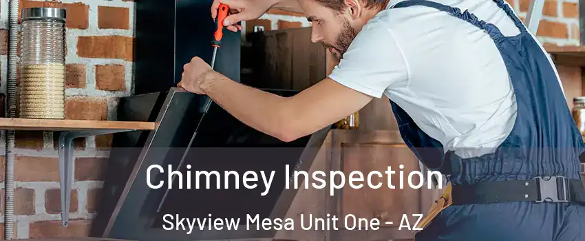 Chimney Inspection Skyview Mesa Unit One - AZ