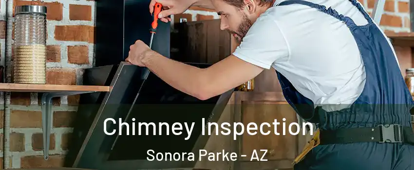 Chimney Inspection Sonora Parke - AZ