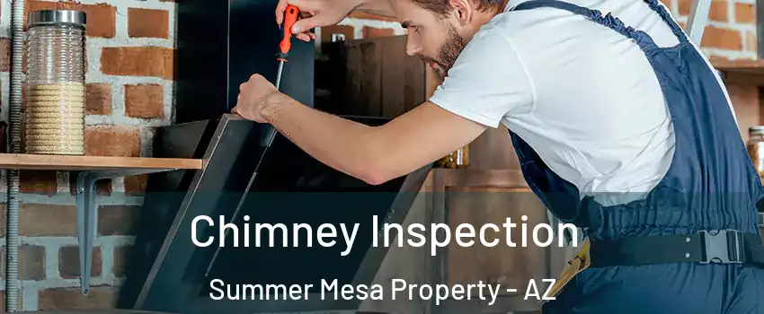 Chimney Inspection Summer Mesa Property - AZ