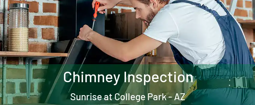 Chimney Inspection Sunrise at College Park - AZ