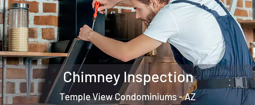 Chimney Inspection Temple View Condominiums - AZ