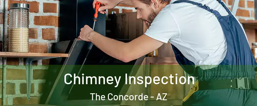 Chimney Inspection The Concorde - AZ