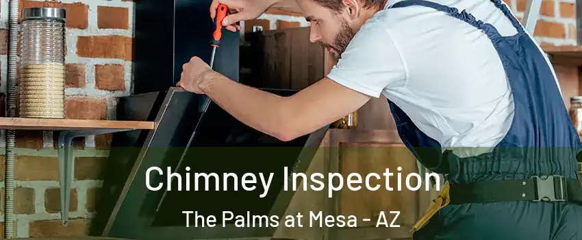 Chimney Inspection The Palms at Mesa - AZ
