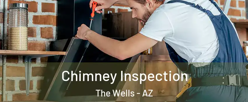 Chimney Inspection The Wells - AZ