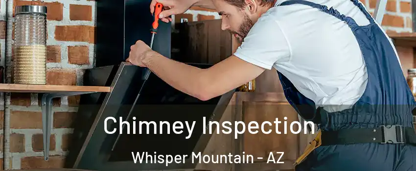 Chimney Inspection Whisper Mountain - AZ