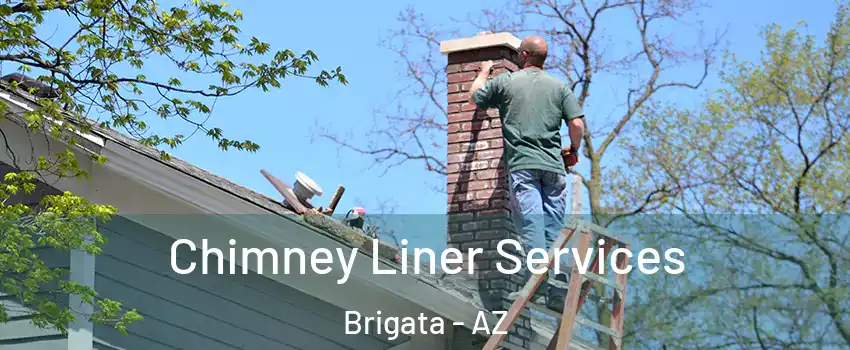 Chimney Liner Services Brigata - AZ