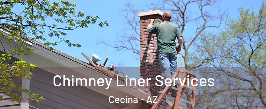 Chimney Liner Services Cecina - AZ