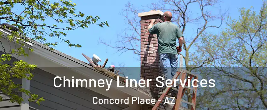 Chimney Liner Services Concord Place - AZ
