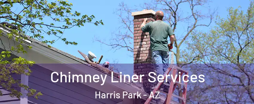 Chimney Liner Services Harris Park - AZ