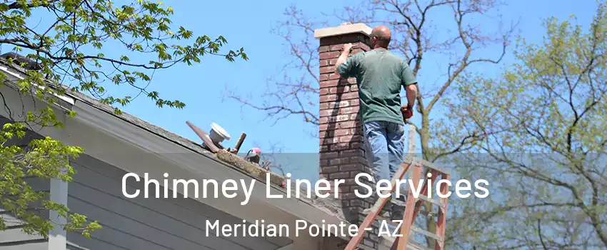 Chimney Liner Services Meridian Pointe - AZ