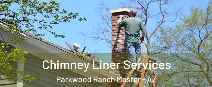 Chimney Liner Services Parkwood Ranch Master - AZ