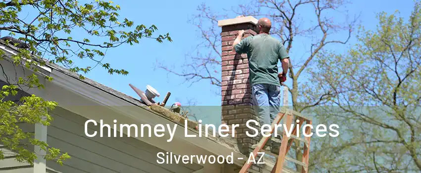 Chimney Liner Services Silverwood - AZ