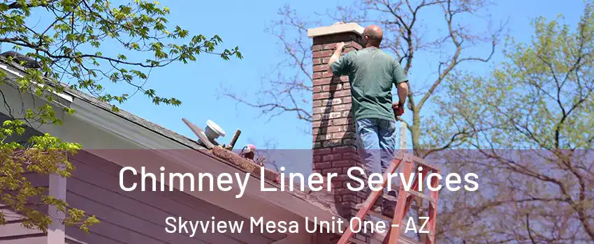 Chimney Liner Services Skyview Mesa Unit One - AZ