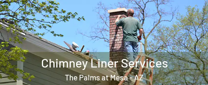 Chimney Liner Services The Palms at Mesa - AZ