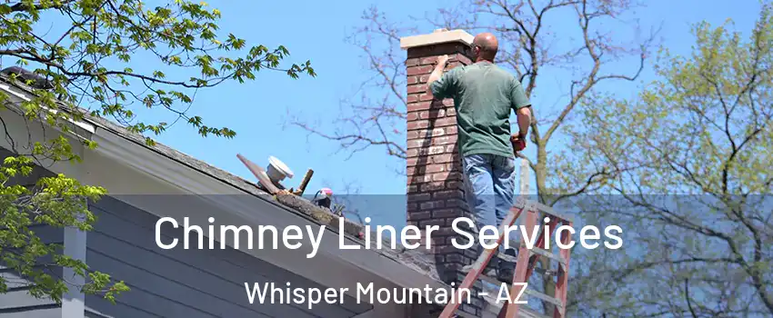Chimney Liner Services Whisper Mountain - AZ