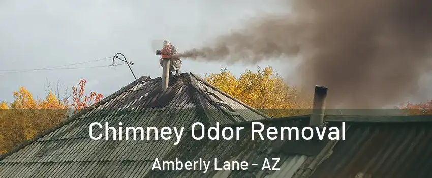 Chimney Odor Removal Amberly Lane - AZ