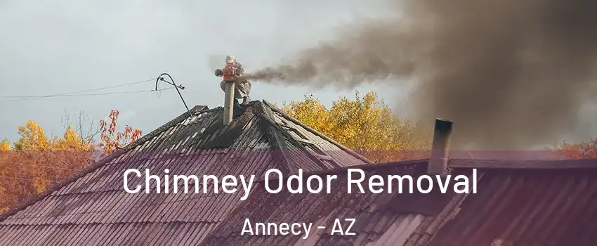 Chimney Odor Removal Annecy - AZ