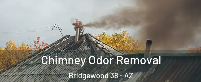 Chimney Odor Removal Bridgewood 38 - AZ