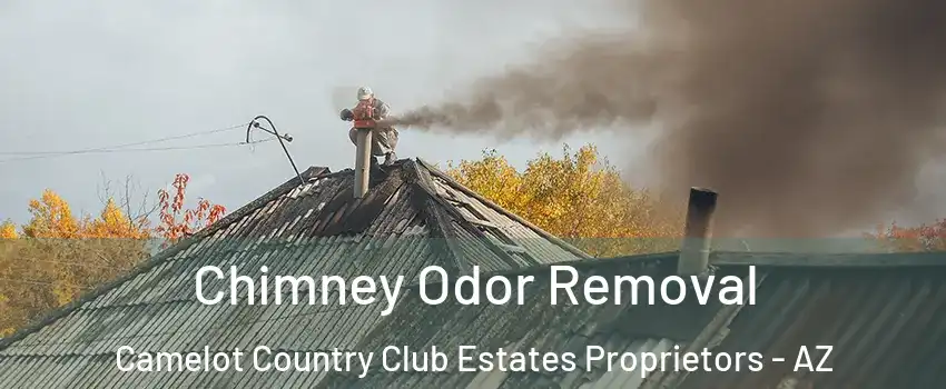Chimney Odor Removal Camelot Country Club Estates Proprietors - AZ