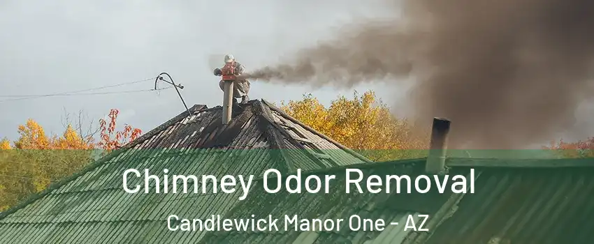 Chimney Odor Removal Candlewick Manor One - AZ