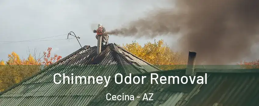Chimney Odor Removal Cecina - AZ
