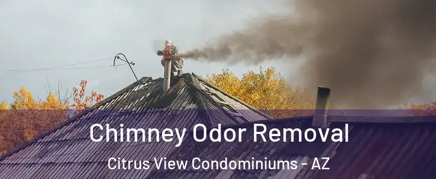 Chimney Odor Removal Citrus View Condominiums - AZ