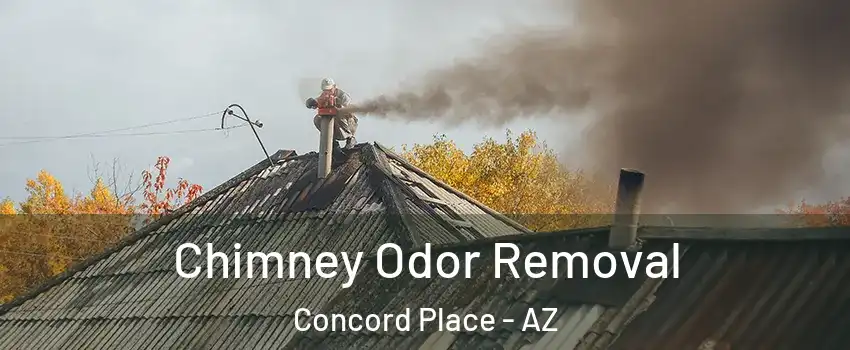 Chimney Odor Removal Concord Place - AZ