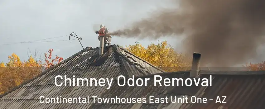 Chimney Odor Removal Continental Townhouses East Unit One - AZ