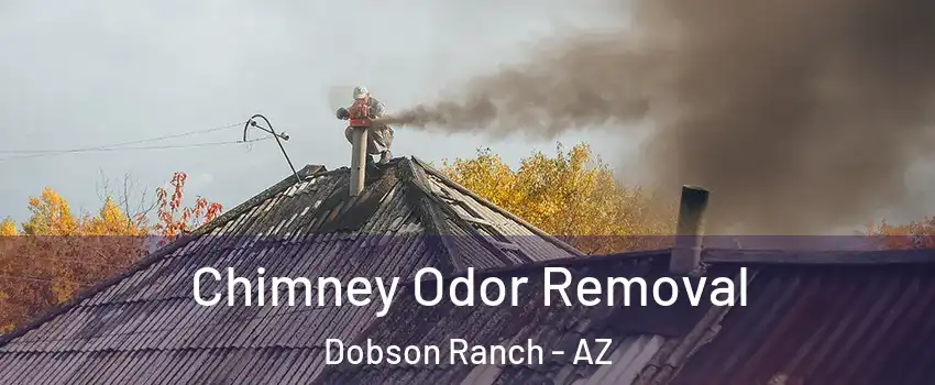 Chimney Odor Removal Dobson Ranch - AZ