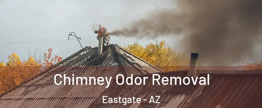 Chimney Odor Removal Eastgate - AZ