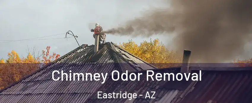 Chimney Odor Removal Eastridge - AZ
