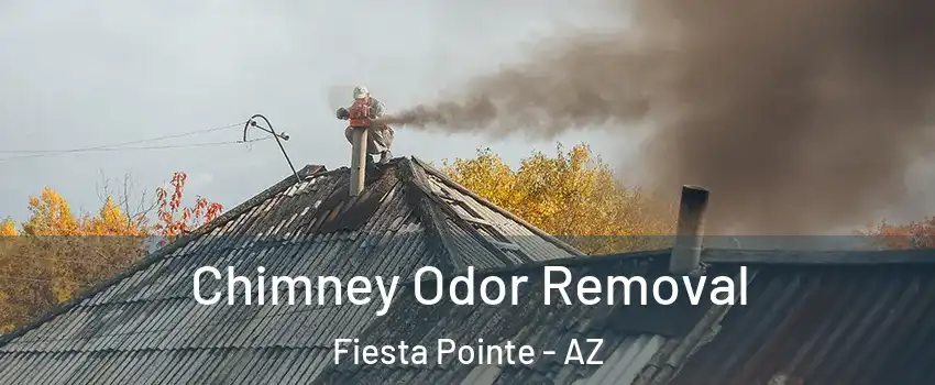 Chimney Odor Removal Fiesta Pointe - AZ