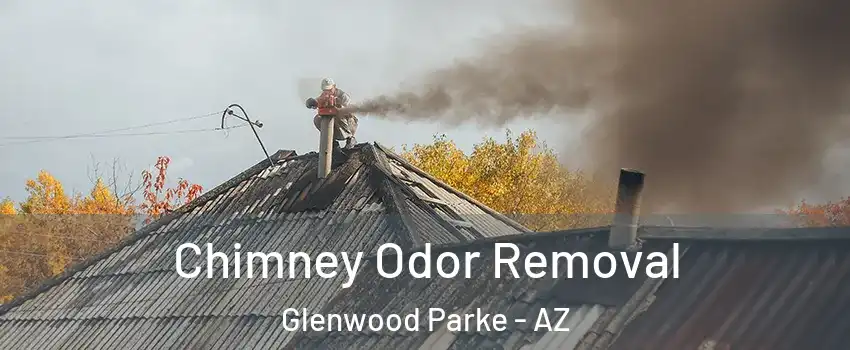Chimney Odor Removal Glenwood Parke - AZ