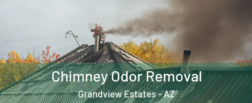 Chimney Odor Removal Grandview Estates - AZ