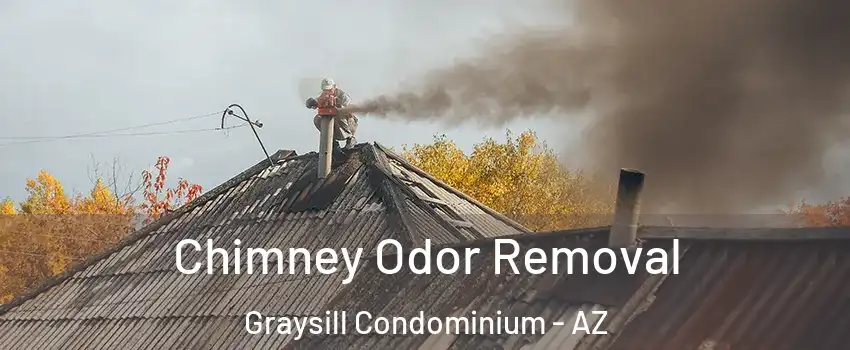 Chimney Odor Removal Graysill Condominium - AZ