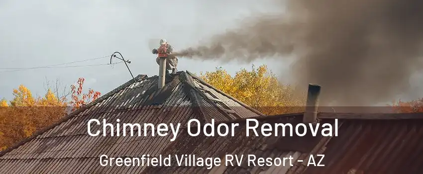 Chimney Odor Removal Greenfield Village RV Resort - AZ
